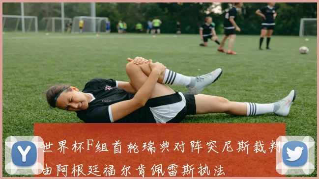 世界杯F组首轮瑞典对阵突尼斯裁判由阿根廷福尔肯佩雷斯执法
